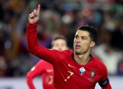 九游娱乐网页-关于荷兰队锁定欧洲杯正赛席位，射手蝉联荣耀的信息