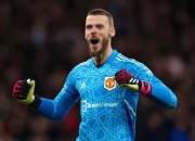 九游娱乐app下载-萨拉戈萨门将神勇扑救，保住球门不失的简单介绍