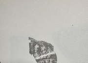 九游VIP-则义度商翌首登霸，季卜靡东首送