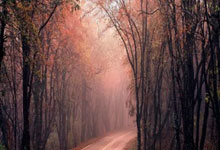 九游娱乐官方-阿尔艾因迎战布宜诺斯艾利斯独立，防守反击或成致胜关键