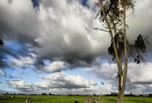 九游体育官方入口-阿姆斯特丹的雨夜：当青春风暴撞上冰冷现实，阿贾克斯的欧冠童话戛然而止