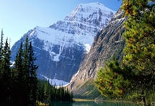 九游体育APP下载-利物浦赛前战术培训，提升比赛执行力