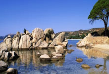 九游娱乐官方网站-利物浦赛前发布会：全队信心满满迎战帕尔梅拉斯