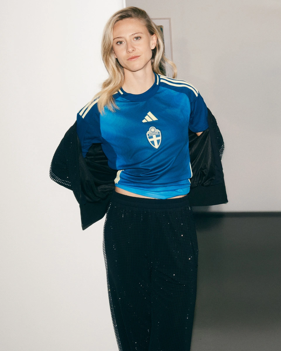 关于瑞典队持平，欧洲杯资格仍未尘埃落定的信息