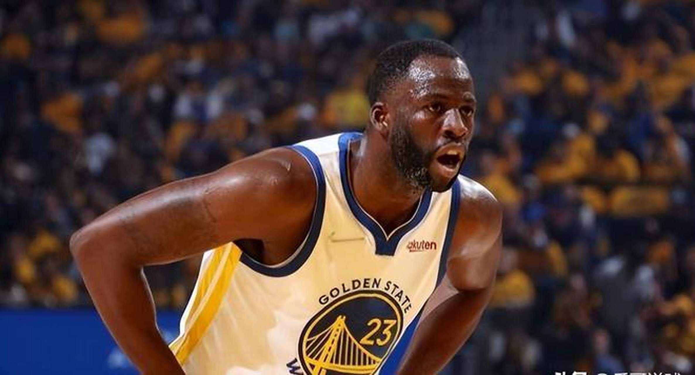 包含篮球经纪人：挖掘新秀追逐梦想的词条