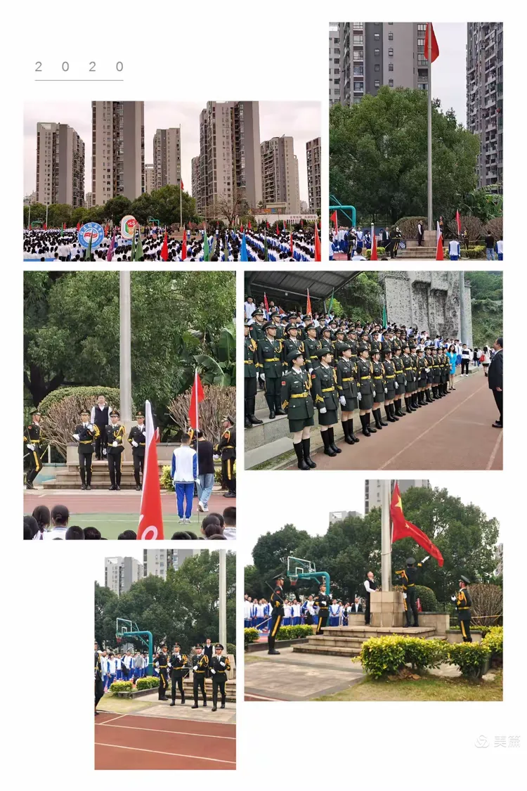 精神力量：胜利花环骄人绽放