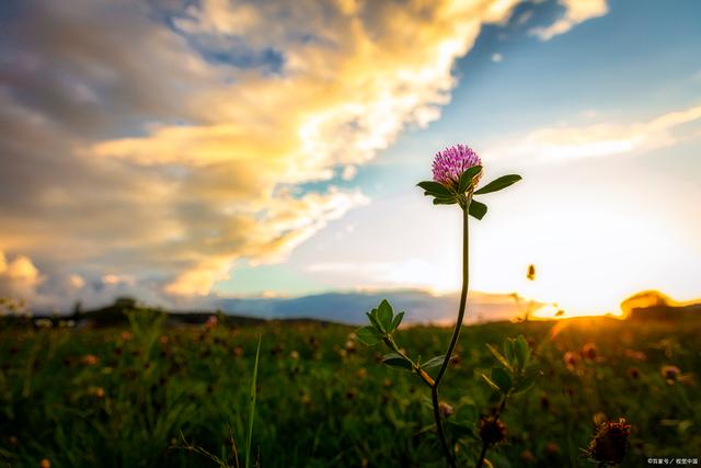 纳贡受伤，突破困境艰难