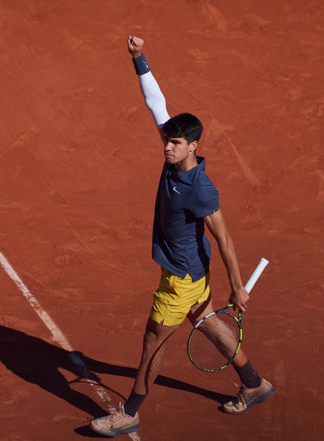 关于法网险胜戴维斯杯，兹维列夫关键制胜的信息